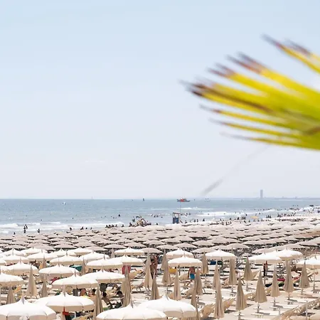 King - Azzurro Club Hotel 3*