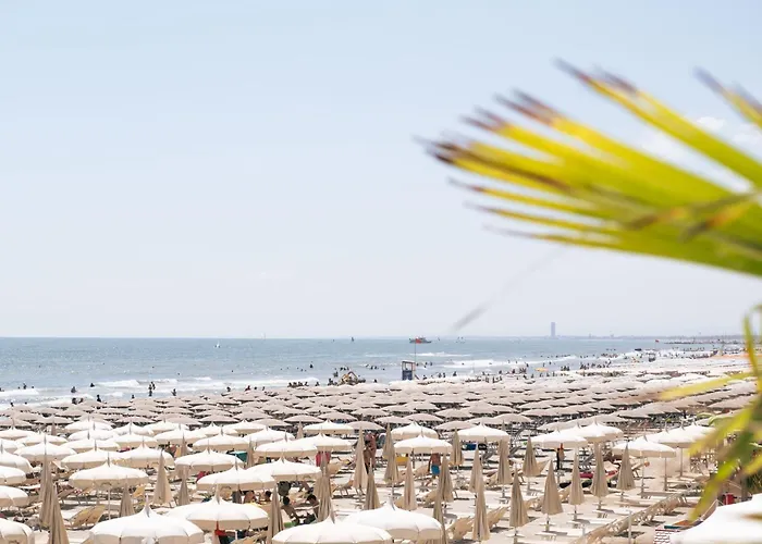 King - Azzurro Club Hotel 3*