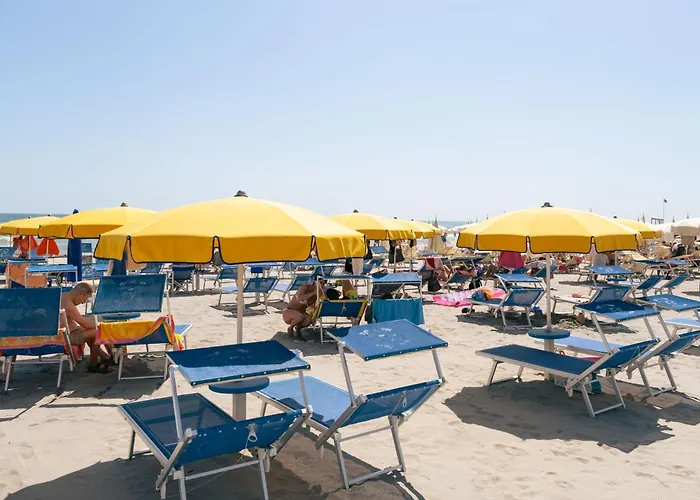 King - Azzurro Club Otel Milano Marittima